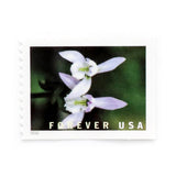 Load image into Gallery viewer, U.S. 2021 Wild Orchids Framed Forever Stamps