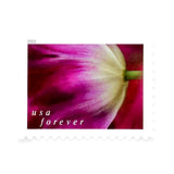 Load image into Gallery viewer, 2023 US First-Class Forever Stamps - Tulip Blossoms booklet