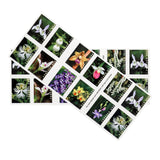 Load image into Gallery viewer, U.S. 2021 Wild Orchids Framed Forever Stamps