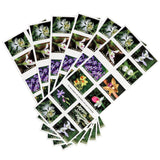 Load image into Gallery viewer, U.S. 2021 Wild Orchids Framed Forever Stamps